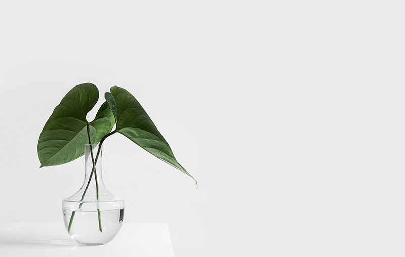 keeping decorations simple
